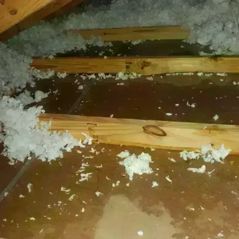 Attic Water Damage in New Waverly, TX