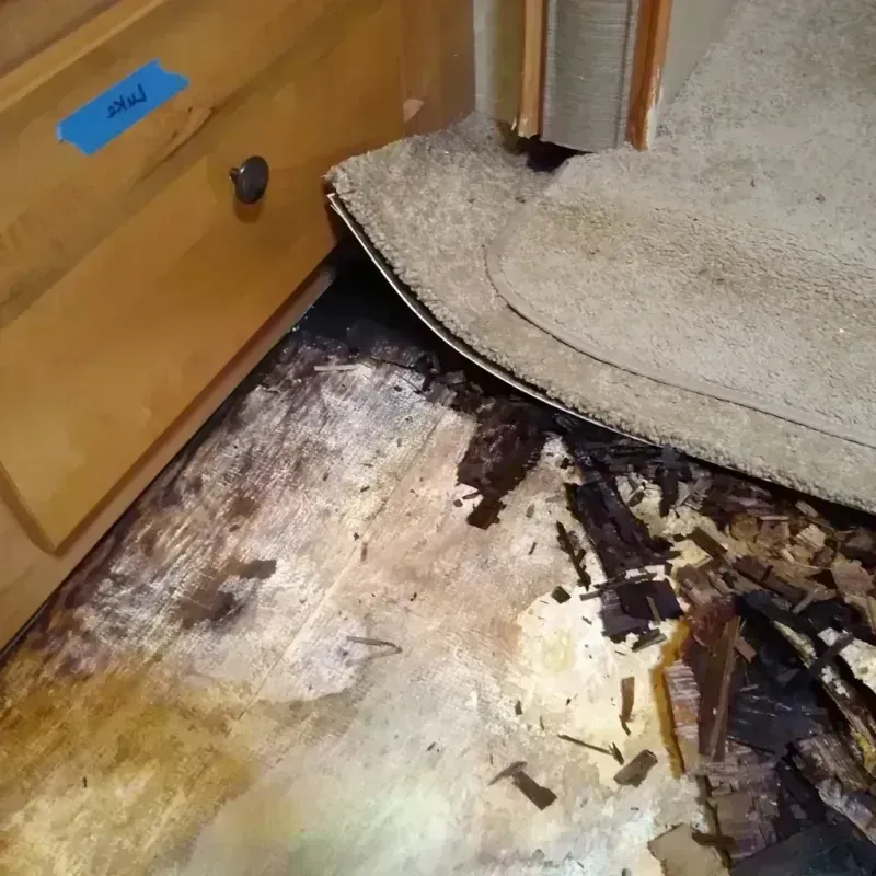 Wood Floor Water Damage in New Waverly, TX